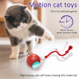 Interactive Cat Toys Ball