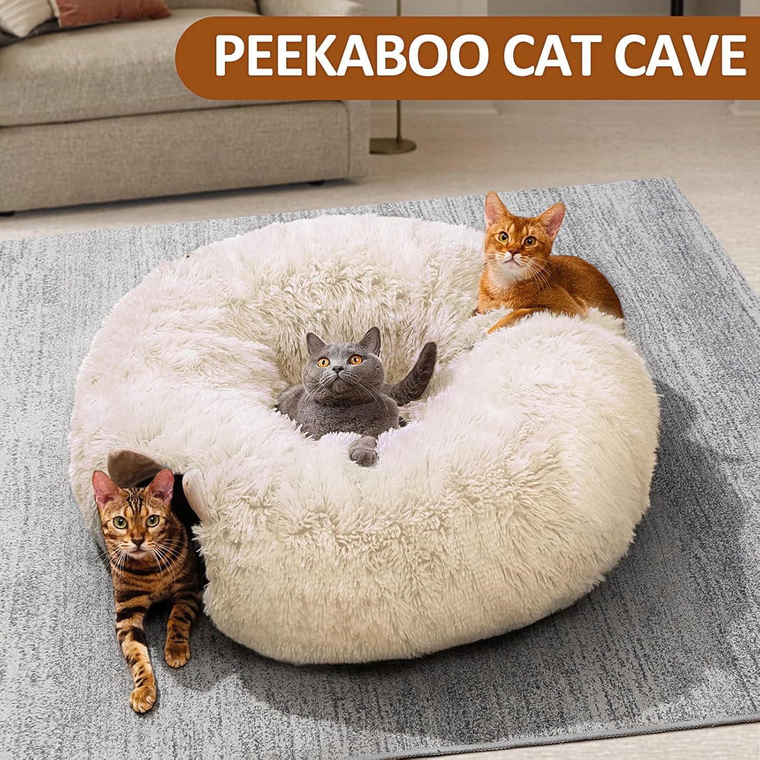Cat Tunnel with Cat Bed for Indoor Cats
