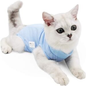Cat Recovery Suit for Abdominal Wounds or Skin Diseases