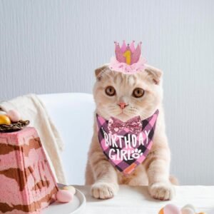 ADOGGYGO Cat Birthday Party Supplies